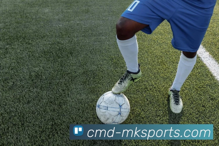 MK体育平台生态图